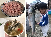 東莒釣友釣獲3公斤重午魚,當晚立即料理為午魚生魚片、老酒燉魚湯,最奢侈享受的一餐!(圖/文:蔡夢玲)
