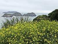 　北竿大澳山除了有全國僅有的戰爭公園，全區各據點都擁有絕佳視野，馬管處新開發委外的洞六據點居高臨下，四周島嶼星羅棋布，軍事據點轉型為觀光功能在馬祖前景看俏。（圖／文：陳鵬雄）