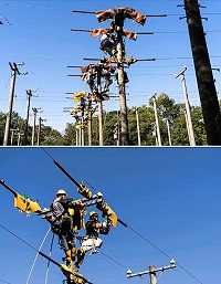 台電5月再招766名僱用人員,其中配電線路維護類265名為員額最多的類別,錄取人員將先接受半年養成班訓練,強化學習相關專業技術後分發相關單位,累積現場實戰經驗。(圖:台灣電力公司)