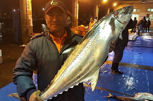 澎湖馬公第三漁港在眾多的漁獲拍賣中,出現2尾少見的「白腹魚」,都重達10公斤以上,其中1尾12.8公斤,最後以每公斤新台幣8888元標出,創下漁市新高紀錄。(圖/中央社)