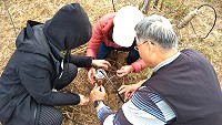 馬祖氣象站完成東引、東莒兩地自動觀測站修復,恢復穩定觀測資料。(圖:馬祖氣象站)
