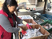 　橋仔漁民定置網捕獲白鯧魚，依體型分級販售，越大越搶手。（圖／文：陳鵬雄）