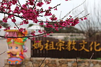 　全村一起來熱鬧！（圖與文：張登傑、陳樂團）
