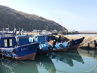 　兩岸貨運需求變異，白沙小三通船隻今年復航時間未定。（圖／文：陳鵬雄）