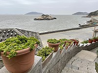 　北竿家園更美麗植栽認養計畫今年擴大全鄉各村均可申請。（圖／文：陳鵬雄）