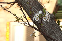 　全村一起來熱鬧！（圖與文：張登傑、陳樂團）