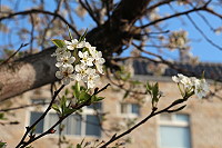 　全村一起來熱鬧！（圖與文：張登傑、陳樂團）