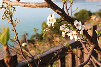 　全村一起來熱鬧！（圖與文：張登傑、陳樂團）