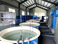 　國立臺灣海洋大學馬祖海洋研究中心-養殖研究基地正式完工，未來將與地方政府密切合作協助推廣養殖。（圖／文：陳鵬雄）