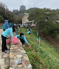 植樹節響應綠美化,馬管處長方正光帶領同仁於馬管處行政中心旁,攜手種植40株櫻花、20株楓香。(圖:馬管處)