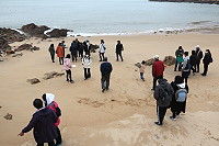 　全村一起來熱鬧！（圖與文：張登傑、陳樂團）
