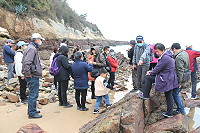 　全村一起來熱鬧！（圖與文：張登傑、陳樂團）
