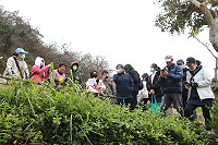 　全村一起來熱鬧！（圖與文：張登傑、陳樂團）