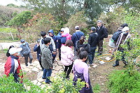 　全村一起來熱鬧！（圖與文：張登傑、陳樂團）