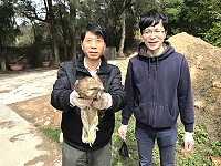 　產發處、台北市野鳥學會協助受傷東方鵟恢復健康，26日將其野放重返大自然。（圖／文：吳嘉榮）