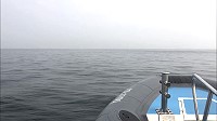 海巡隊表示持續執行驅離及取締越界陸船,確保馬祖海域海洋資源永續發展。(圖:馬祖海巡隊)