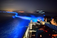 　夜航追淚行程夯，粗估一季觀光產值至少千萬元以上。（圖：王台榮提供）