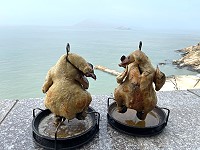 　蜈蚣雞飄香。（圖與文：陳鵬雄）