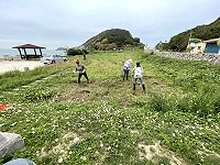 　&#22338;里天后宮油菜花季近尾聲，社協整地除草要營造下一季花海景觀。（圖／文：陳鵬雄）