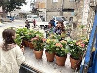 　美麗家園動起來。（圖與文：陳鵬雄）