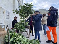 　大坵梅花鹿生態之旅夯，橋仔碼頭桑葉小販也因此小發利市。（圖／文：陳鵬雄）