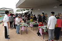 　全村一起來熱鬧！（圖與文：張登傑、陳樂團）