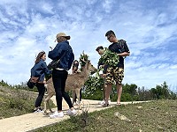 　飽餐一頓。（圖與文：陳鵬雄）