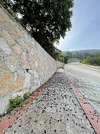 　鑽石撒滿地。（圖／文：陳鵬雄）