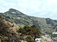 　展翅高飛。（圖／文：陳鵬雄）