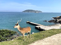 　佔地為王，唯我獨尊。（圖／文：陳鵬雄）