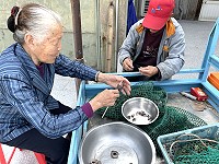 　馬祖藤壺正值肥美季，一年之中只有2個月時間可吃到，味道鮮甜被視為馬祖海鮮第一味。（圖／文：陳鵬雄）