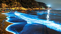 　午沙夜未央。（圖：王華勇　文：陳鵬雄）