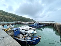 　休養生息。（圖／文：陳鵬雄）