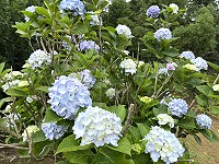 　沒有畢典的6月。（圖與文：陳鵬雄）