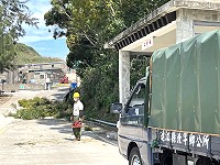 　颱風季來臨，北竿鄉公所展開預防性路樹減災修剪工作。（圖／文：陳鵬雄）
