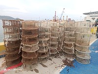 　產發處及海巡隊進行違法章魚籠突襲掃蕩作業，7日、9日至11日總計起獲1923具違法章魚籠、273公斤違法流刺網。（圖：產發處）