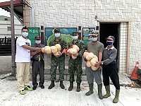 大隊政戰處長代表大隊長率領官兵向北竿地區菜農購買高麗菜,展現「同島一命」精神。(圖/文:吳家安)