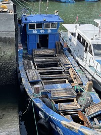 　開艙見光。（圖與文：陳鵬雄）