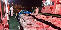 海巡署艦隊分署第十海巡隊於東引查獲走私貨船,當場押回南竿依法處理,並進行貨品清點、消毒及清運銷燬作業。(圖:產發處)