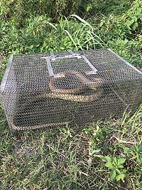 天氣才剛開始熱,北竿消防隊今年已接獲12起捕蛇案例。(圖/北竿消防隊)