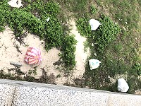 馬祖美麗沙灘變成不肖人士的垃圾場,馬港民眾反映,最近有人趁夜把垃圾隨意丟,村長陳智偉已協調警察局注意及加強夜間巡邏。(圖:馬港村民)