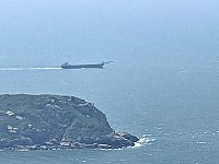 　神出鬼沒。（圖與文：陳鵬雄）