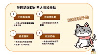 地區貓數量不少,熱心志工提醒鄉親,路邊遇到野生奶貓(出生不久的小貓)時,可不能隨便撿回家,先判斷4種狀況再決定是否救援。(圖:陳姓愛貓志工)