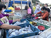 夏季漁汛期到,洄游季節性小白帶魚、小白鯧、黃尾丁由北竿運至南竿銷售。(圖:馬祖日報)