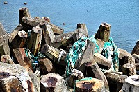 廢棄漁網覆掛在礁岩、消波塊上,不但造成海洋污染,也嚴重影響海洋的生態環境。(圖/文:陳其敏)