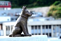 東引新景點「鐵騎堡」,規劃有專屬標誌與銅雕軍犬,深化戰地文化內涵。(圖/文:陳其敏)