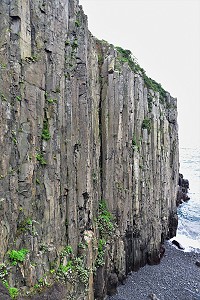 　柱狀節理。（圖與文：陳其敏）