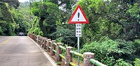 交旅局增設首面「降坡彎道,減速慢行」告示,提醒民眾於危險路段減速慢行。(圖:交旅局)