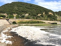 　「&#28895;花」通過期間適逢大潮，各鄉海岸又是一片狼藉，大量保麗龍漂向各澳口內，就像下了整片雪一般令人驚恐。（圖／文：曹重偉）