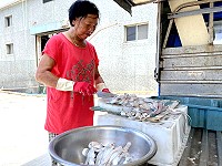 　白帶魚削肉過程費工，約3至4斤魚才能削出1斤肉。（圖／文：陳鵬雄）